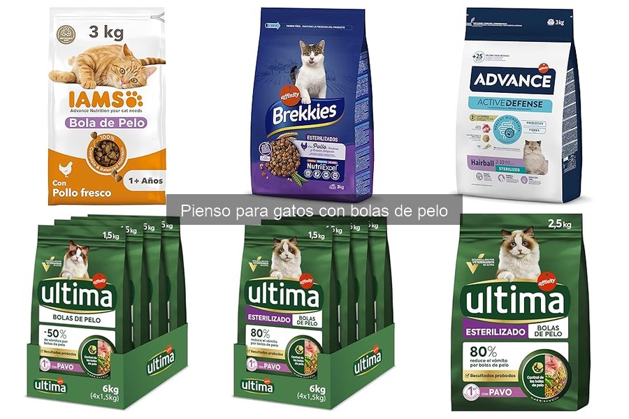 Ingredientes que Evitar en Pienso para Gatos con Bolas de Pelo