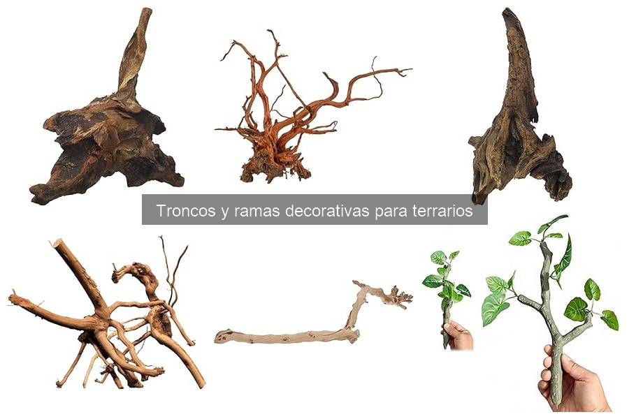 Instalación de troncos y ramas en terrarios: consejos prácticos