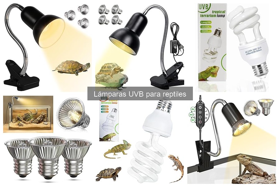 Instalación y Uso de Lámparas UVB para Reptiles