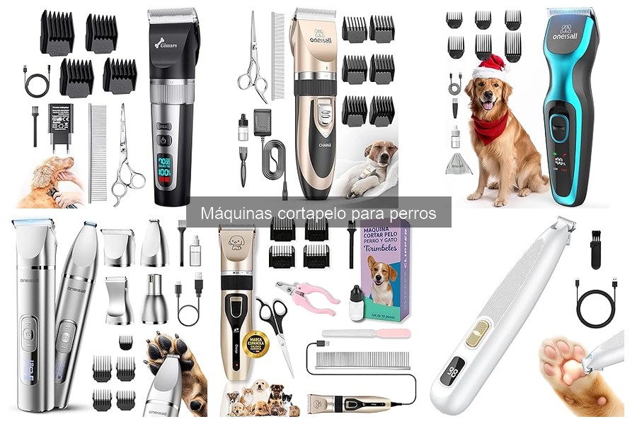 Instrucciones para Usar y Mantener Máquinas Cortapelo para Perros