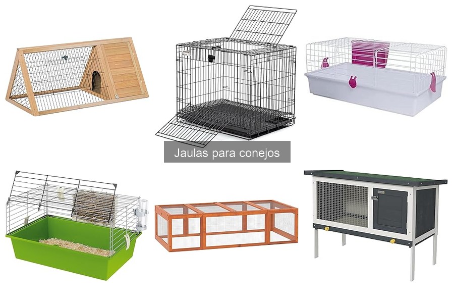 Jaulas para conejos pequeñas vs. grandes: ¿cuál elegir?