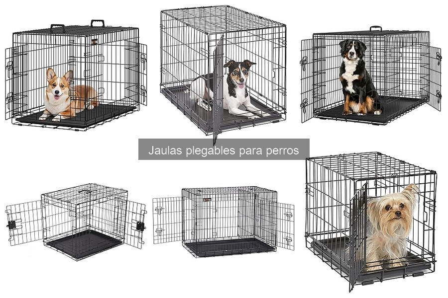 Jaulas Plegables para Perros: ¿Son Seguras para Tu Mascota?