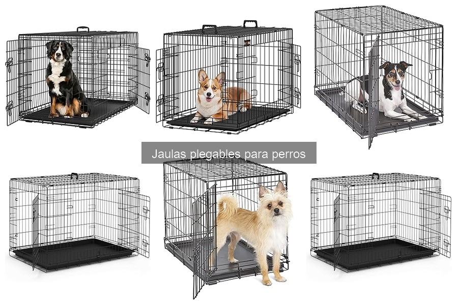 Jaulas Plegables para Viajar con Perros: Guía de Selección