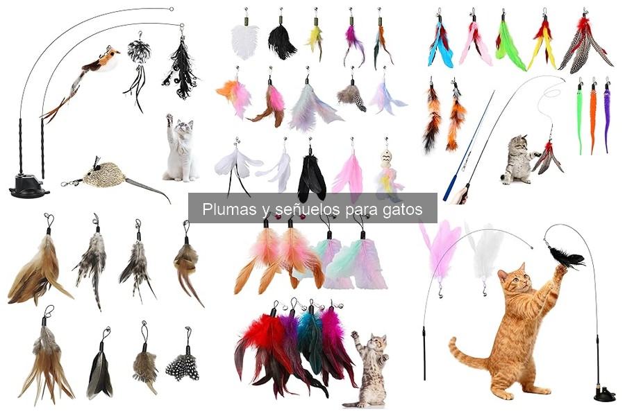 Juega con tu gato: técnicas con plumas y señuelos