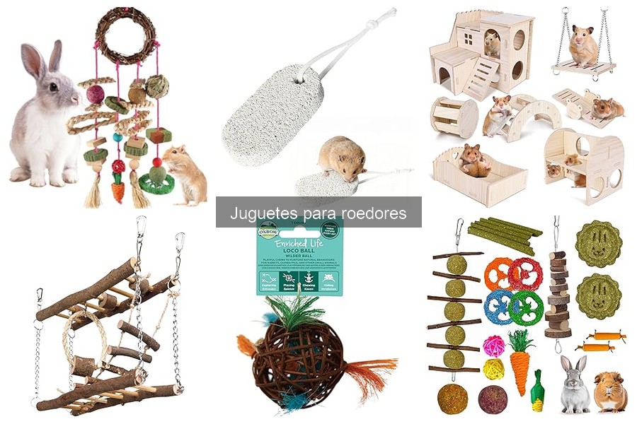 Juguetes ideales para roedores en espacios pequeños