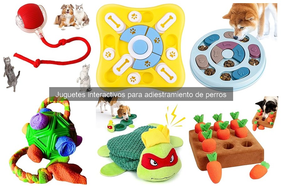 Juguetes Interactivos Recomendados por Adiestradores Profesionales