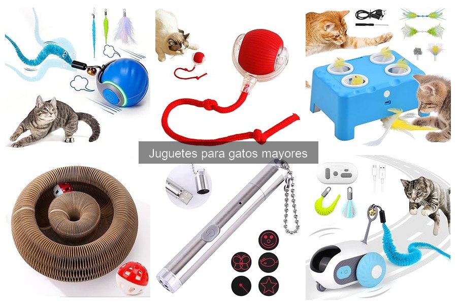 Juguetes para gatos mayores con discapacidades: guía útil