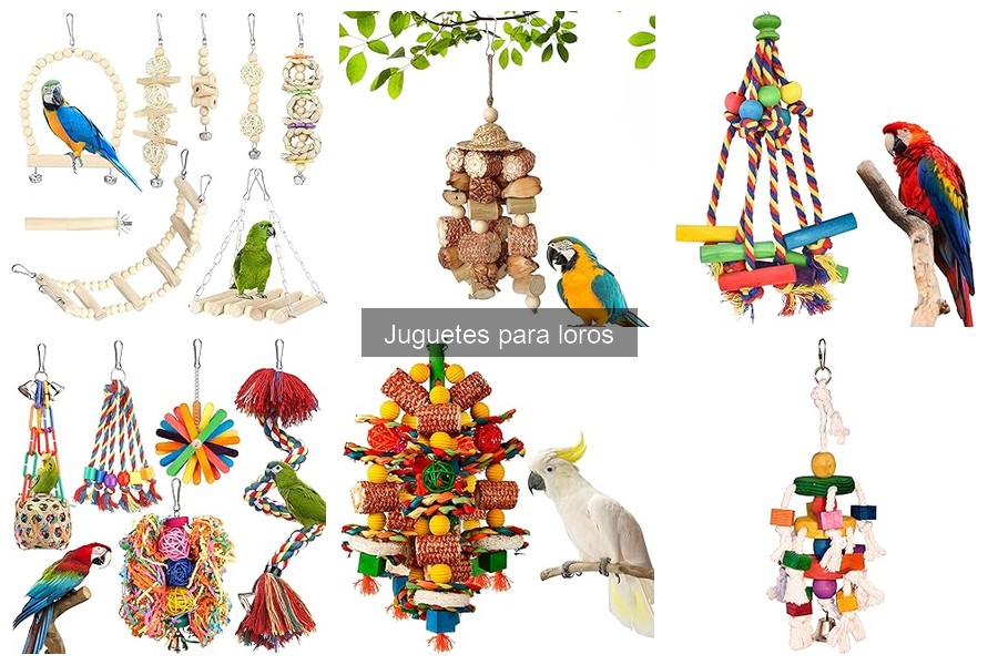 Juguetes para Loros a Buen Precio: Dónde Comprarlos