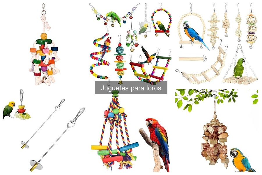 Juguetes para loros: interactivos vs. masticar