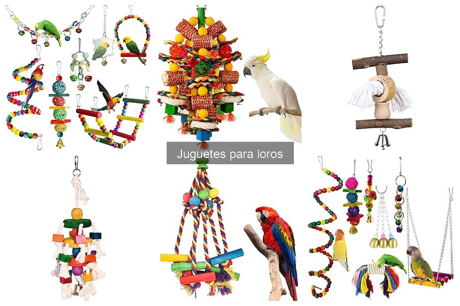 Juguetes para loros que estimulan su inteligencia