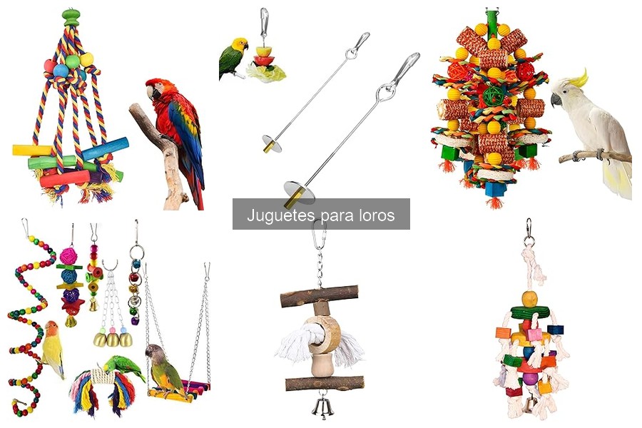 Juguetes para Loros que Previenen el Aburrimiento