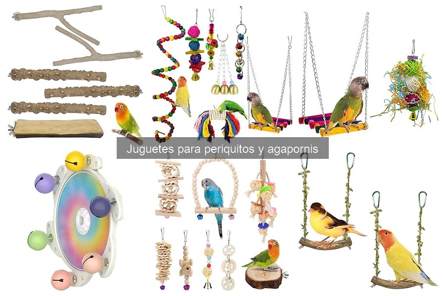 Juguetes para periquitos según su edad: guía útil