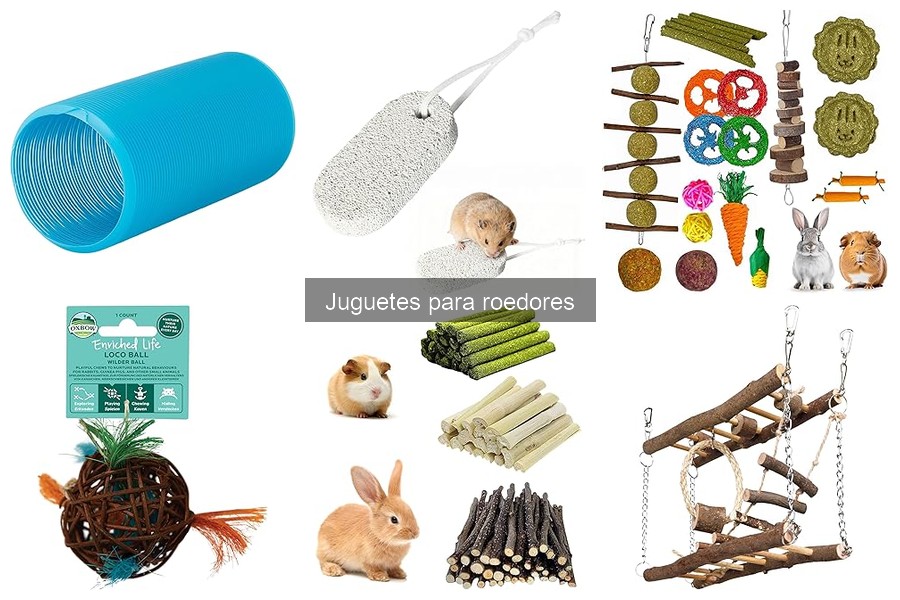 Juguetes para roedores que reducen el estrés y mejoran su bienestar