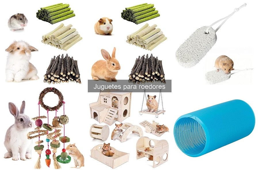 Juguetes recomendados para roedores en invierno
