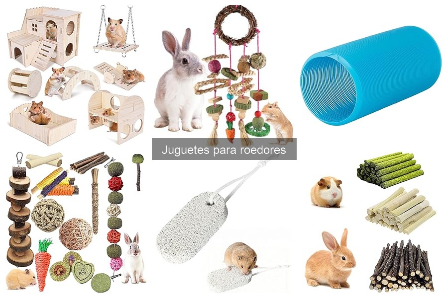 Juguetes seguros y no tóxicos para tus roedores