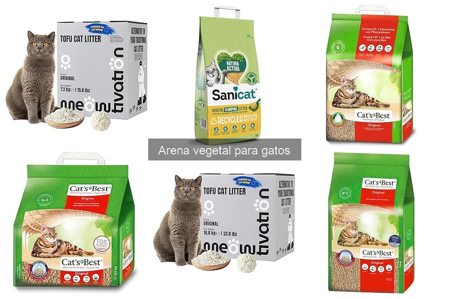 ¿La arena vegetal para gatos es biodegradable? Descúbrelo