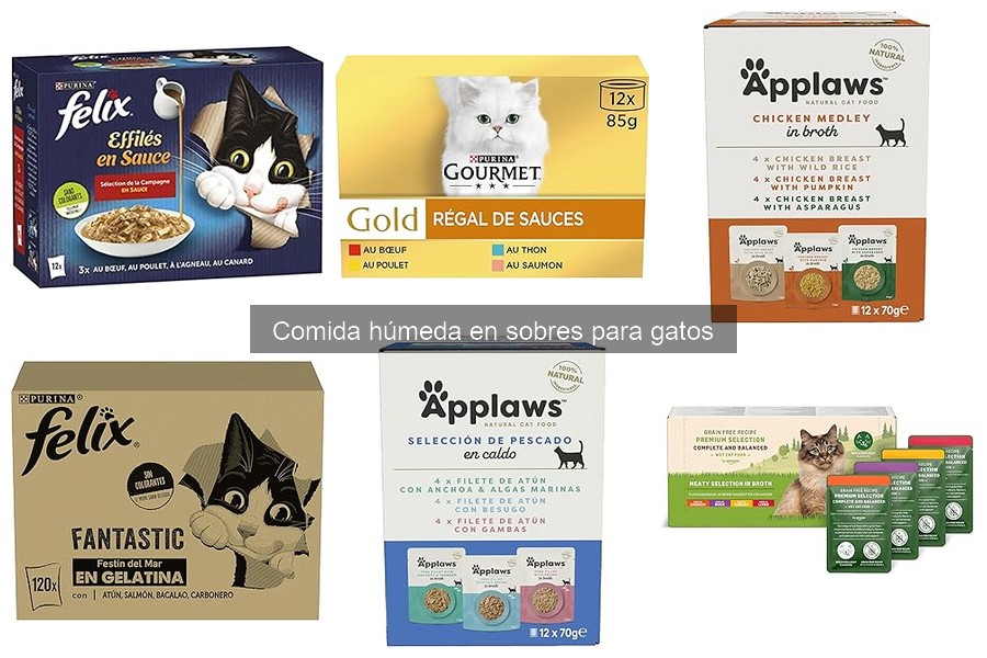 La mejor comida húmeda para gatos con alergias alimentarias