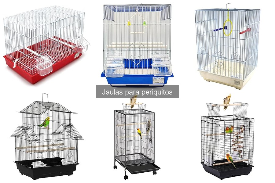 La mejor jaula para periquitos: comparativa y análisis