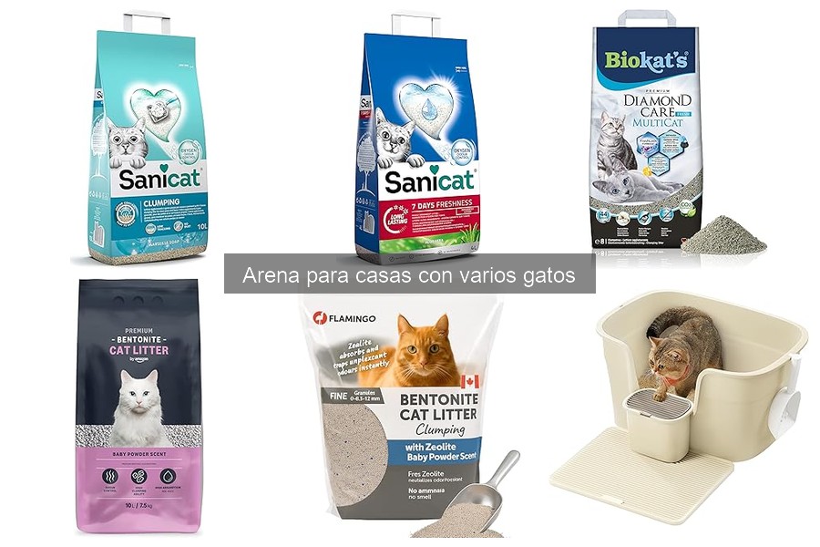 Las Mejores Marcas de Arena para Casas con Varios Gatos