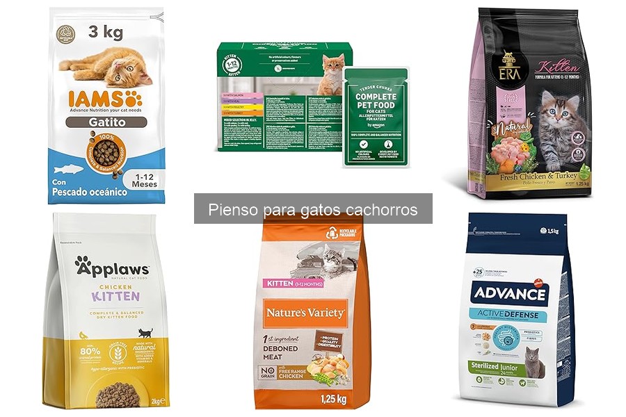 Las Mejores Marcas de Pienso para Gatos Cachorros Recomendadas