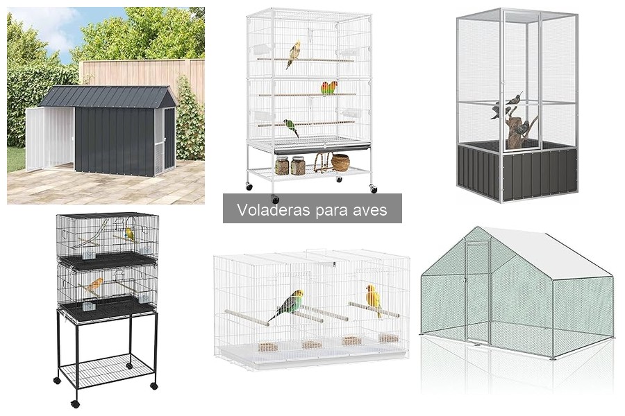 Las Mejores Voladeras para Aves Grandes: Comparativa 2023