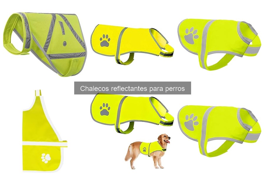 Los mejores chalecos reflectantes para perros en 2023