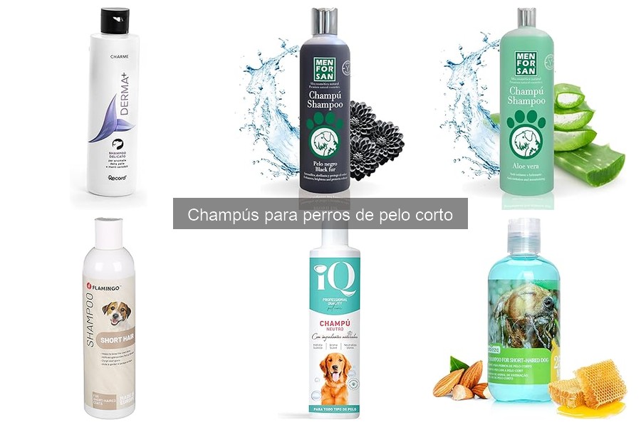 Los mejores champús para perros de pelo corto en 2023