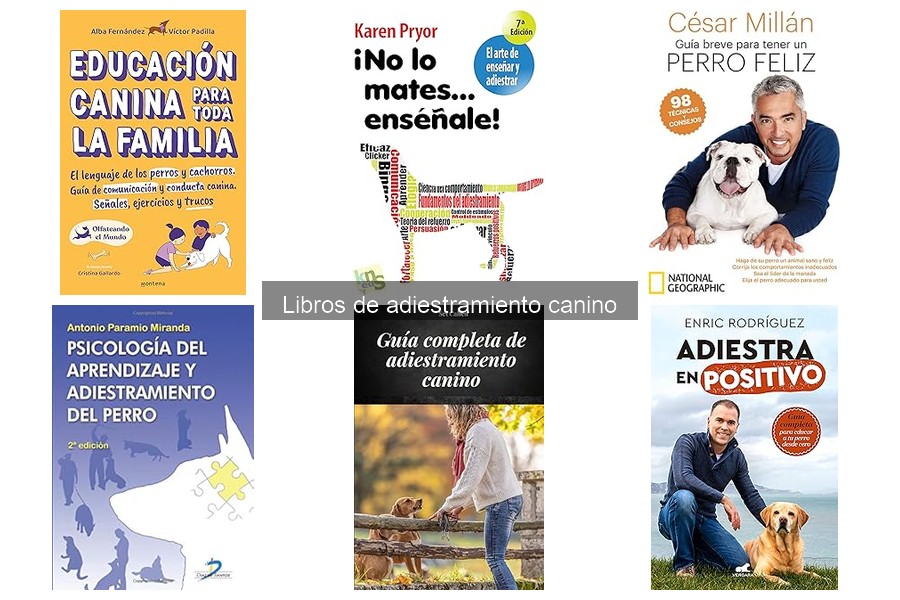 Los mejores libros de adiestramiento canino recomendados