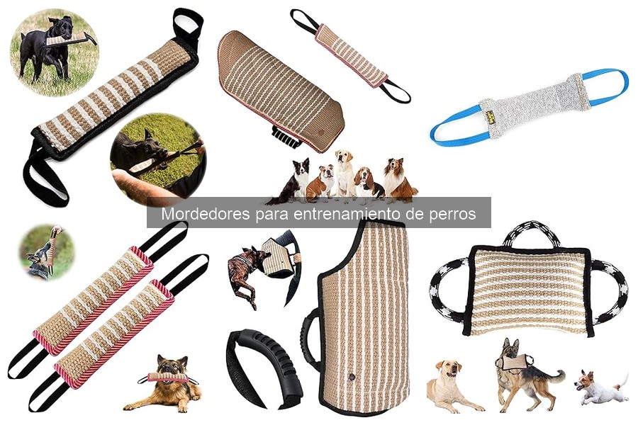 Los mejores mordedores para perros hiperactivos