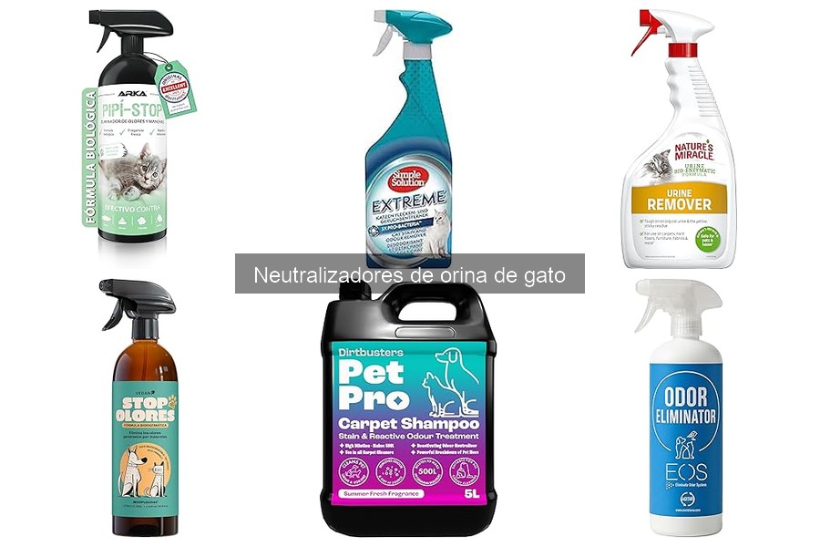 Los mejores neutralizadores de orina de gato para hogares múltiples