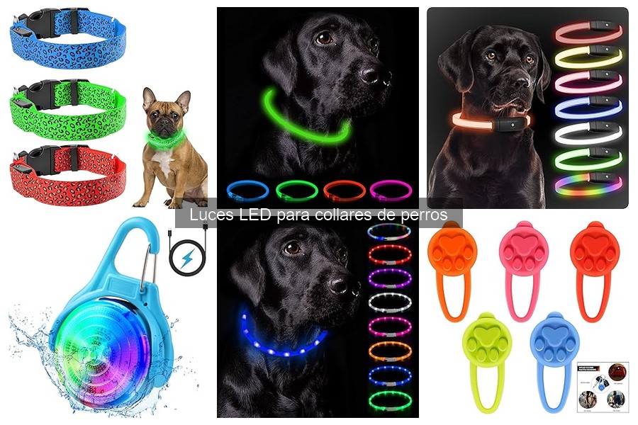 Luces LED para Collares de Perros: ¿Qué Son y Cómo Funcionan?
