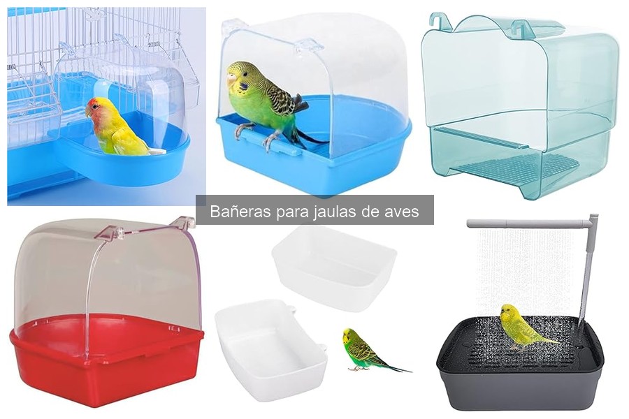 Mantenimiento de Bañeras para Jaulas de Aves: Guía Completa