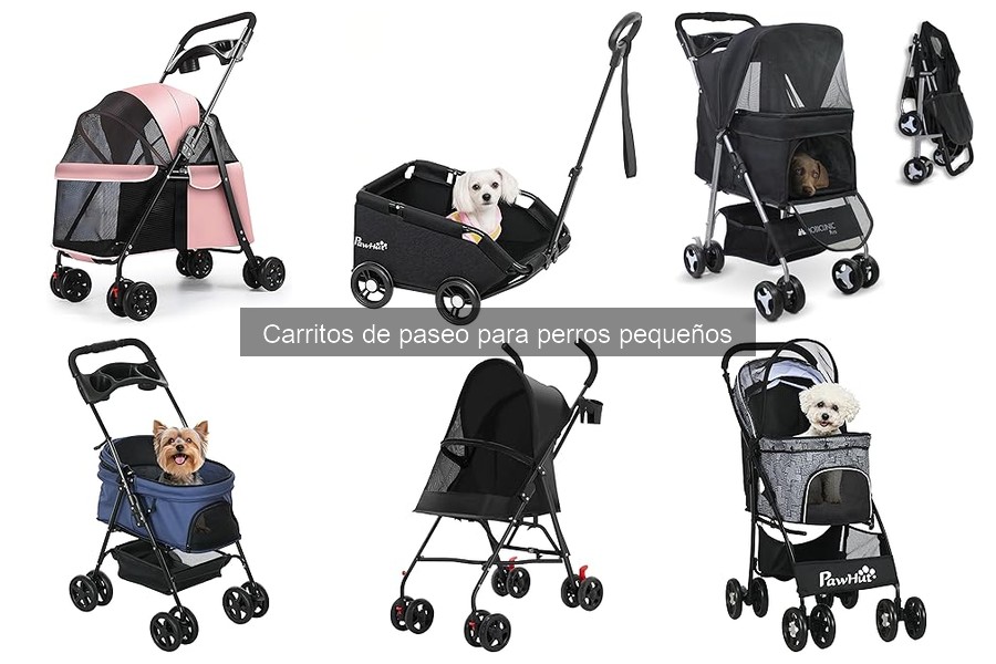 Mantenimiento de carritos de paseo para perros pequeños