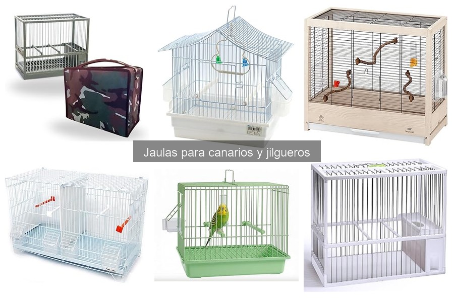 Mantenimiento de jaulas para canarios: consejos prácticos