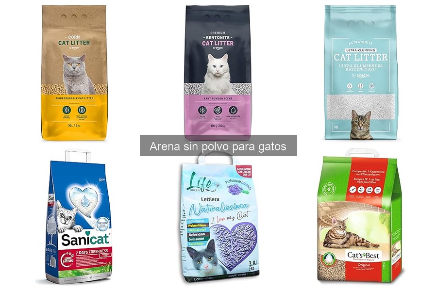 Mantenimiento de la caja de arena con arena sin polvo