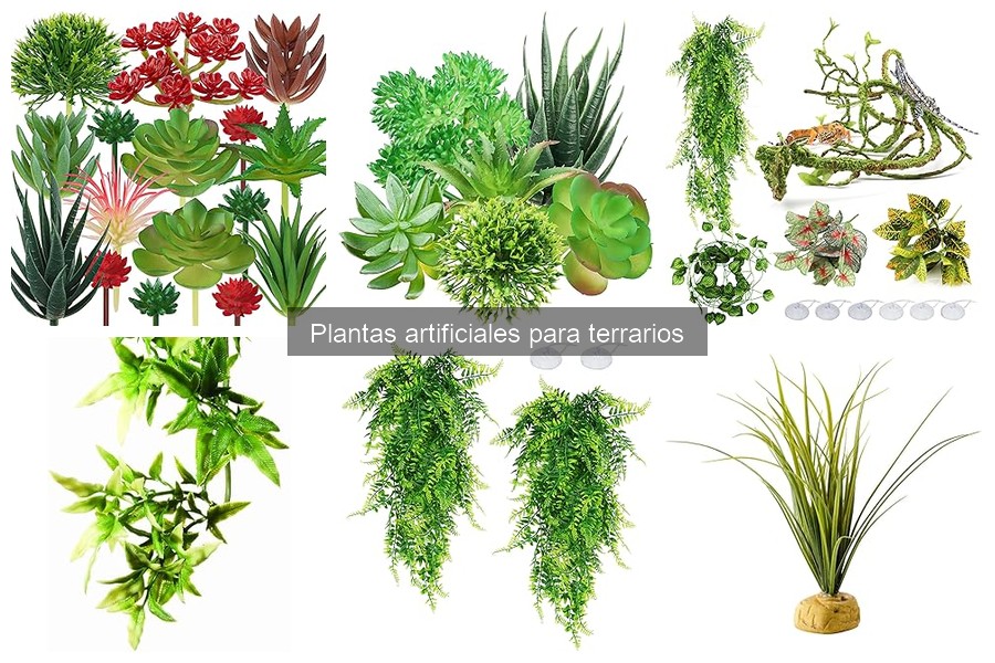 Mantenimiento de plantas artificiales en terrarios: Guía práctica