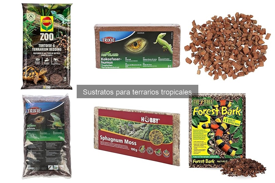 Mantenimiento de Sustratos en Terrarios Tropicales