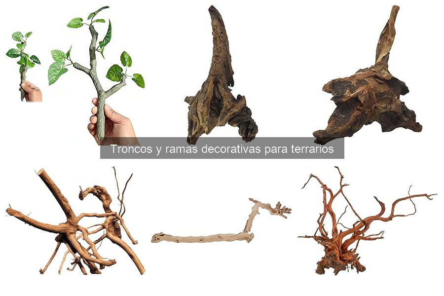 Mantenimiento de troncos y ramas decorativas en terrarios
