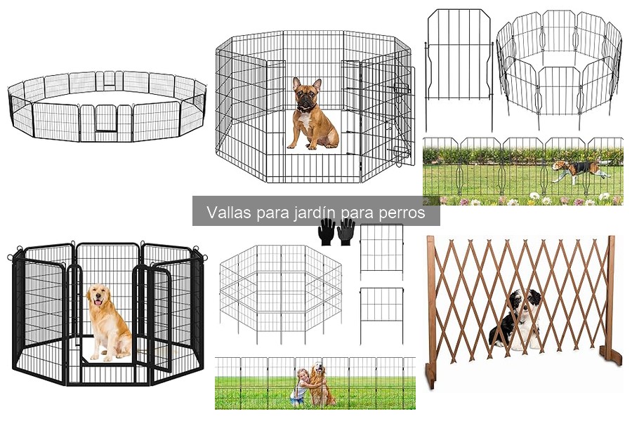 Mantenimiento de vallas para jardín para perros: consejos útiles