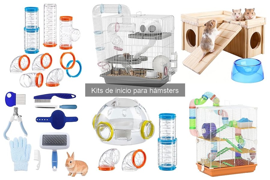 Mantenimiento del Kit de Inicio para Hámsters: Consejos Clave