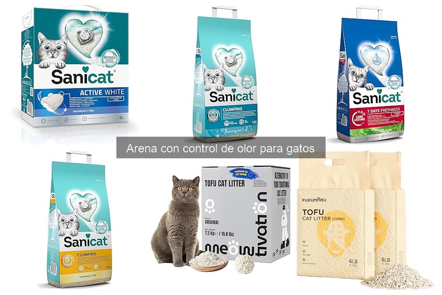 Mantenimiento efectivo de la caja de arena para gatos