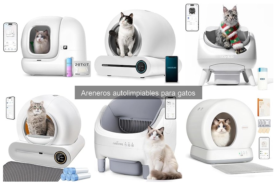 Mantenimiento y limpieza de areneros autolimpiables para gatos