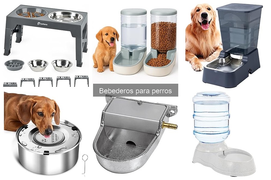 Mantenimiento y limpieza de bebederos automáticos para perros