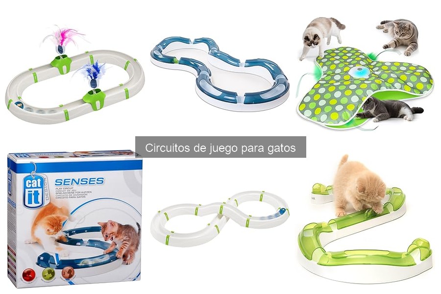 Mantenimiento y limpieza de circuitos de juego para gatos
