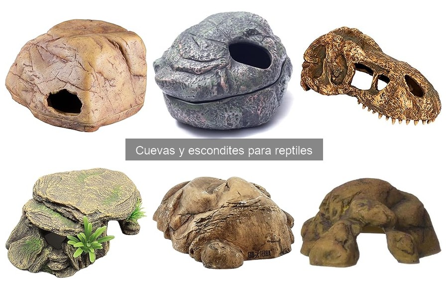 Mantenimiento y limpieza de cuevas para reptiles: guía práctica