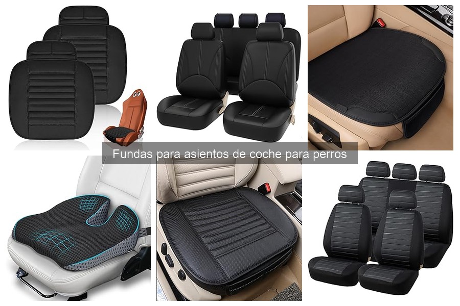 Mantenimiento y limpieza de fundas para asientos de coche para perros