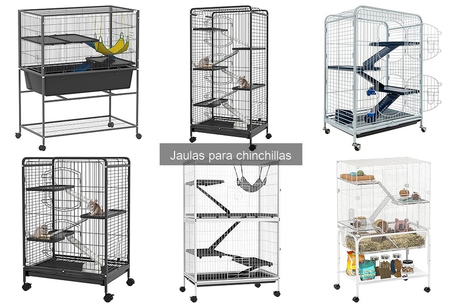 Mantenimiento y limpieza de jaulas para chinchillas