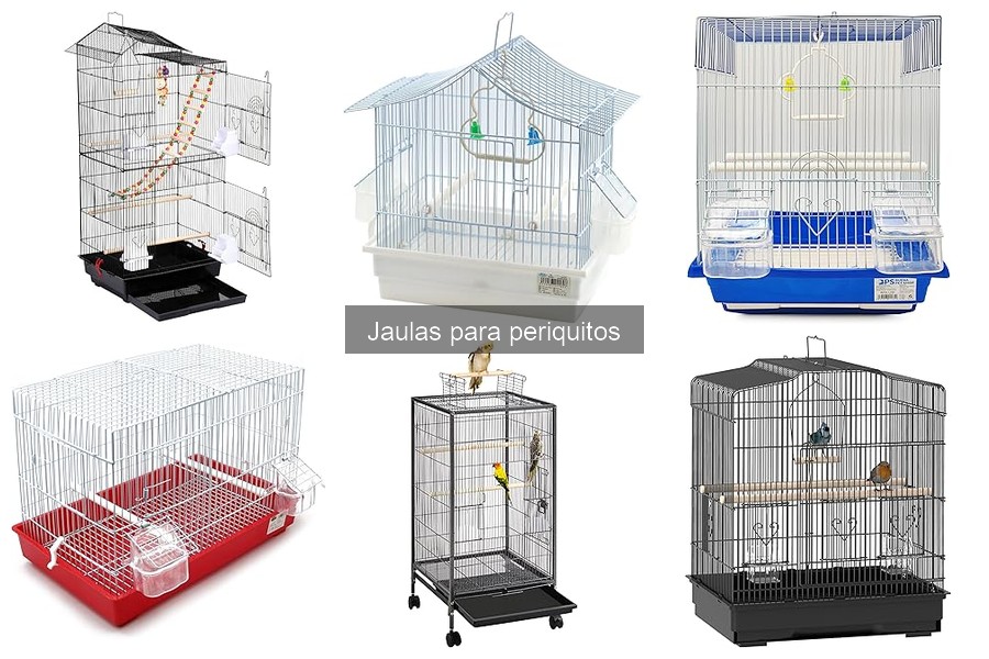 Mantenimiento y limpieza de jaulas para periquitos: Guía práctica