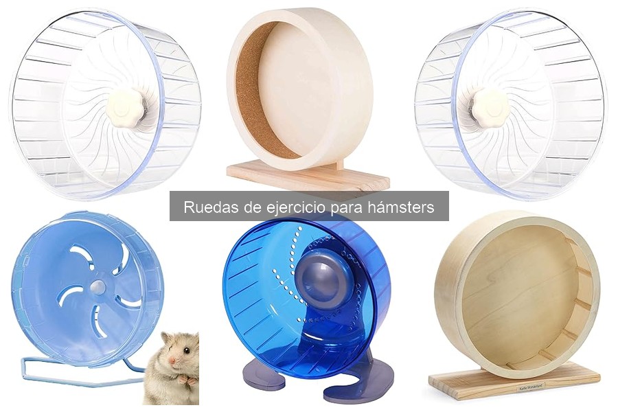 Mantenimiento y limpieza de ruedas de ejercicio para hámsters