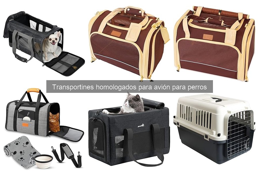 Mantenimiento y limpieza de transportines homologados para perros